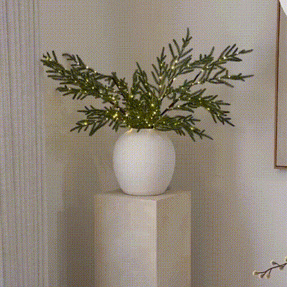 🎄Last few hours! 50% off!✨ Norfolk Pine Branch Lights – Instantly illuminating the festive atmosphere before Christmas!