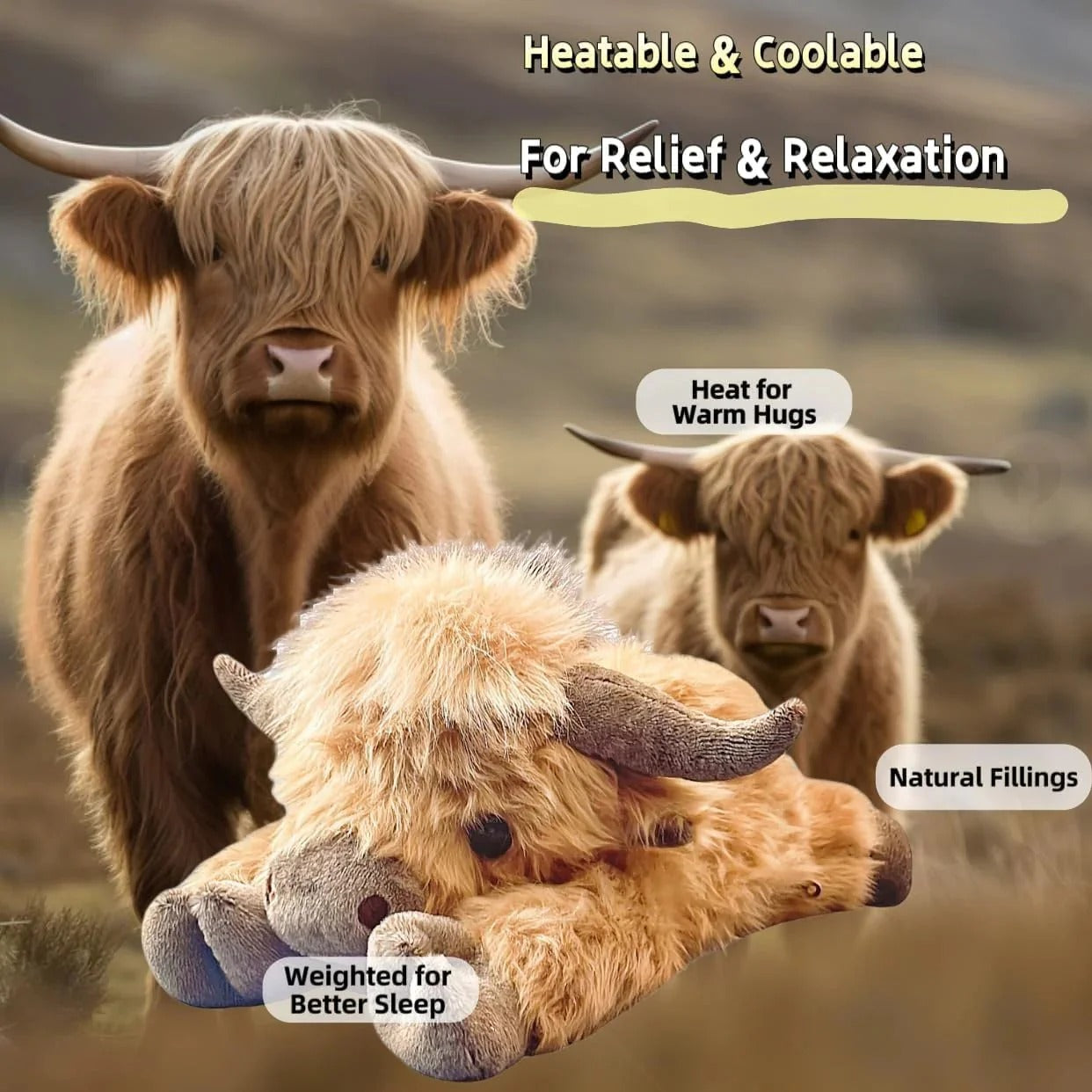 🧸Cute Cartoon weighted & heated Highland Cow